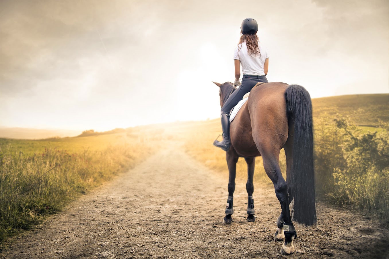 horseback rider 