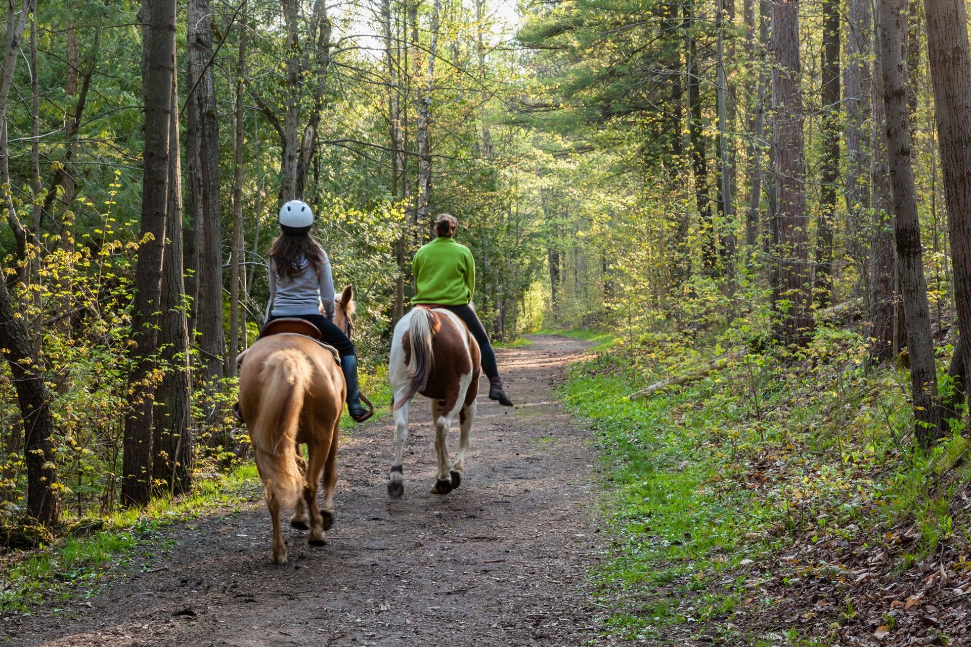 two people horseback riding in forest