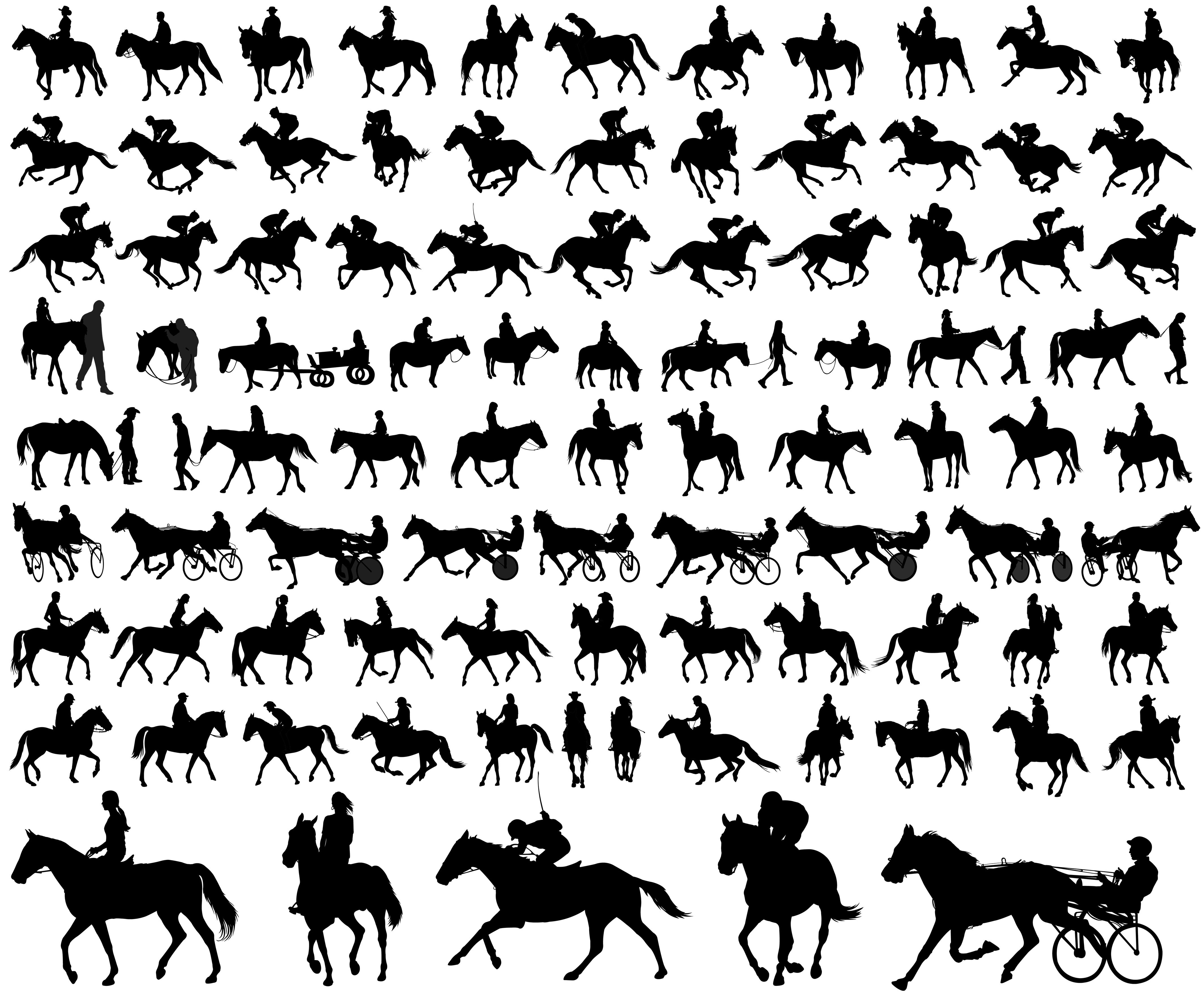 horse graphics