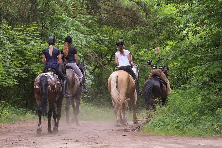 horseback riding tours